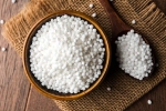 Sabudana good for health, Sabudana advantages, is sabudana good for health, Spice