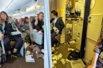 Singapore Airlines turbulence horror injured, Singapore Airlines turbulence horror accident, one dead and 30 injured in singapore airlines turbulence horror, Singapore airlines