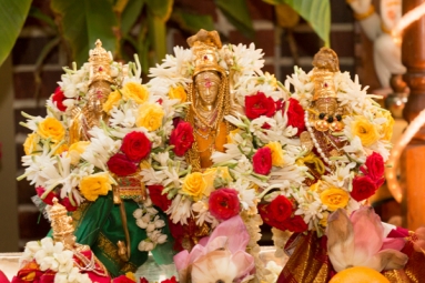 Vasantha Navarathri and Sitarama Kalyana Mahotsavam