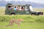South African Safari Trip total video, South African Safari Trip total days, how to plan your south african safari trip, Reviews