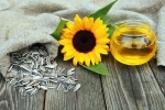 Sunflower seeds nutritional benefits, Sunflower seeds for health, sunflower seeds and their nutritional benefits, Healthy breakfast Sunflower seeds nutritional benefits, Sunflower seeds for health, sunflower seeds and their nutritional benefits, Healthy breakfast