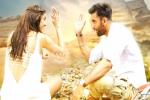 Tamasha review, Tamasha review, tamasha three days collections, Yeh jawani