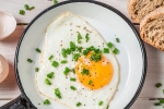 cholesterol, healthy, top 5 benefits of eggs that ll make you to eat them every day, World egg day
