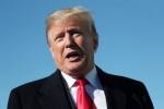 immigration, immigration, trump faces criticism over birthright citizenship, Congressional elections