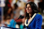 president, president, tulsi gabbard likely to run for u s presidency in 2020 sources, Tim kaine
