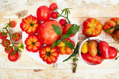 Popular Types Of Tomatoes You Should Know About Popular Types Of Tomatoes You Should Know About