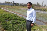 organic farming nic in, types of organic farming, this u s return mba graduate is transforming a village barren land into an organic farming facility, Organic farming