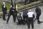 World leader on UK attack, Top stories, terror attack outside uk parliament puts world in tender hook, Motorist