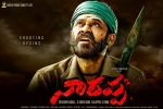 Naarappa movie poster, Venkatesh, venky turns intense for naarappa, Srikanth addala Naarappa movie poster, Venkatesh, venky turns intense for naarappa, Srikanth addala