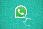 WhatsApp chats, WhatsApp, whatsapp for beta gets new default message timer, Privacy settings