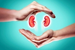 World Kidney Day 2025 theme, World Kidney Day 2025 breaking, world kidney day 2025 theme and health tips, Out