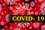 Coronavirus, World Health Organization, who renames the deadly coronavirus as covid 19, Snake