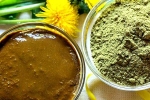 Henna for hair, Henna colour, how henna helps for hair growth and health, Hair dye