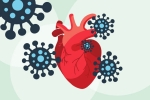 COVID-19, COVID-19, covid 19 can lead to heart complications not found in any other disease study, Cardiac arrest