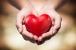 heart diseases, heart diseases, what you know about heart, Know your heart
