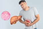 Fatty Liver health, Fatty Liver 2025, fatty liver can be reversed in just one month, Advice