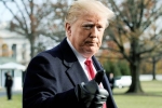 trump, Democrats, former u s senators warn of constitutional crisis under trump, Playboy