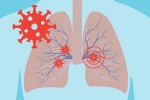 immune system, Covid-19, how does covid 19 affect different parts of the body, Covid toe