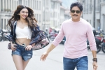 Rahul Ravindran, Manmadhudu 2 news, manmadhudu 2 trailer is packed with entertainment, Manmadhudu 2 Rahul Ravindran, Manmadhudu 2 news, manmadhudu 2 trailer is packed with entertainment, Manmadhudu 2