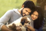 Ninu Veedani Needanu Nene movie review and rating, Sundeep Kishan movie review, ninu veedani needanu nene movie review rating story cast and crew, Hunting