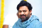 Prabhas new movie, Prabhas news, prabhas jaan delayed further, Weightloss