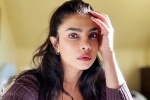 Priyanka Chopra breaking, Priyanka Chopra, priyanka chopra breaks silence on don t look for virgin wife comment, Advice