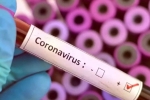 Vaccine for coronavirus, Vaccine for coronavirus, who warns covid 19 may never go away then what s the future of the world, Us federal reserve