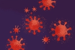 Tedros Adhanom Ghebreyesus new updates, Tedros Adhanom Ghebreyesus, who issues a warning about the omicron variant, Tedros adhanom ghebreyesus Tedros Adhanom Ghebreyesus new updates, Tedros Adhanom Ghebreyesus, who issues a warning about the omicron variant, Tedros adhanom ghebreyesus