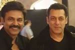 Salman Khan, Salman Khan, watch salman khan shake legs with venkatesh at his daughter aashritha daggubati s wedding, Bollywood star salman khan Salman Khan, Salman Khan, watch salman khan shake legs with venkatesh at his daughter aashritha daggubati s wedding, Bollywood star salman khan