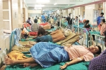dengue patients in world, dengue treatment, people with low iron levels in blood likely to transmit dengue, Dengue patients