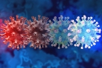 C.1.2 variant updates, C.1.2 variant breaking news, latest coronavirus variant evades vaccine protection, Communicable diseases