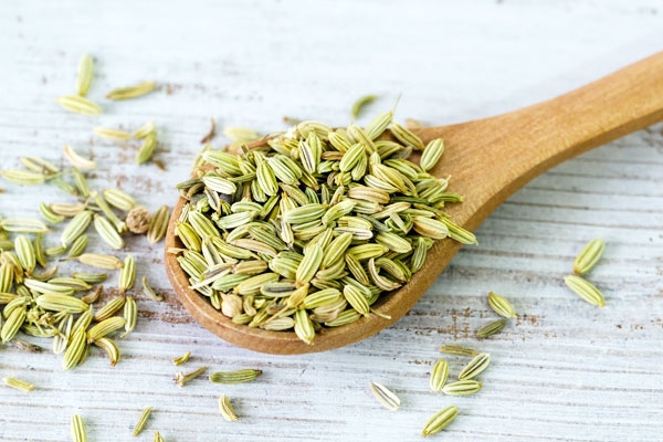 Gastroenterologist Recommends eating Fennel Seeds after Meal Gastroenterologist Recommends eating Fennel Seeds after Meal